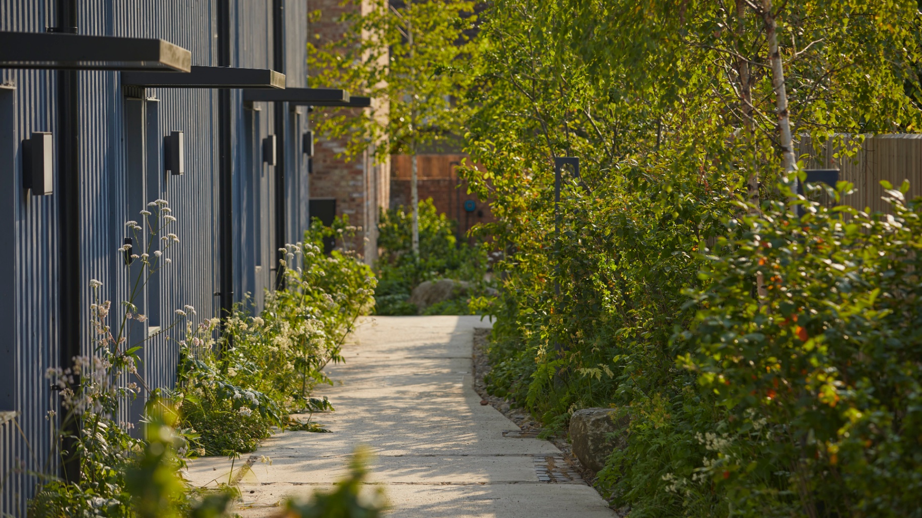 The Arbour, Walthamstow. An Urban Food Forest