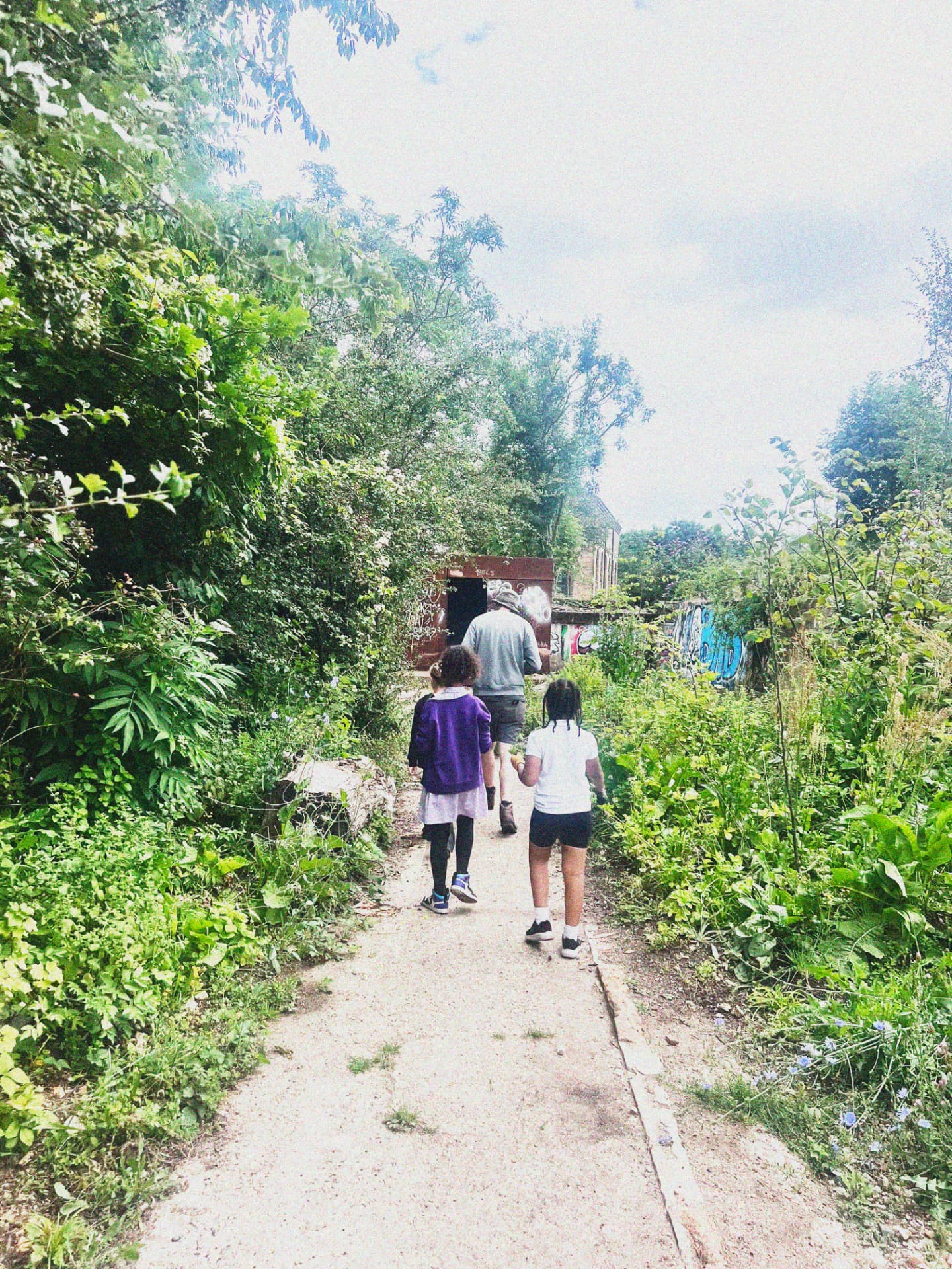 The Food Forest