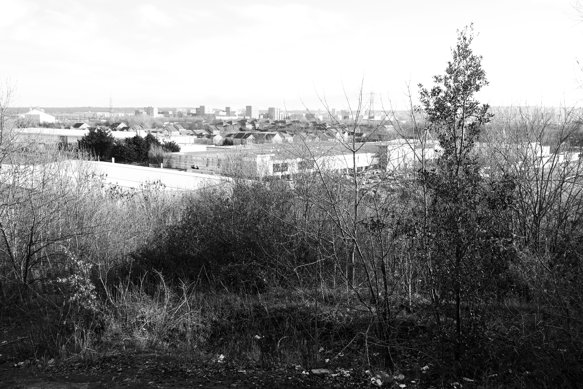 View from the top of the Beckton Alps looking out over rooftops, retail sheds and a distant East London skyline.