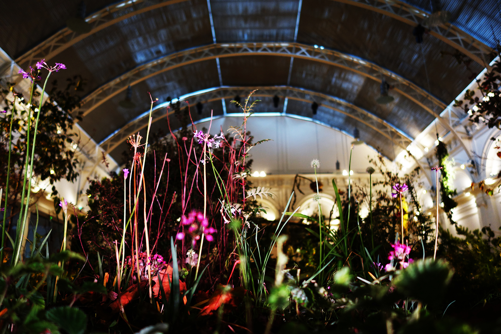 RHS Lindlay Hall: An Indoor Food Forest