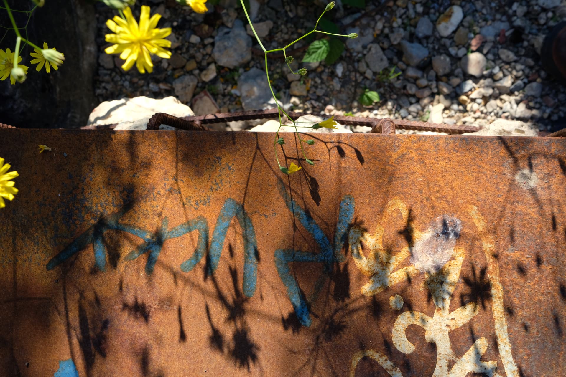 Close-up of graffiti and plant shadows on a rusted corten steel edge