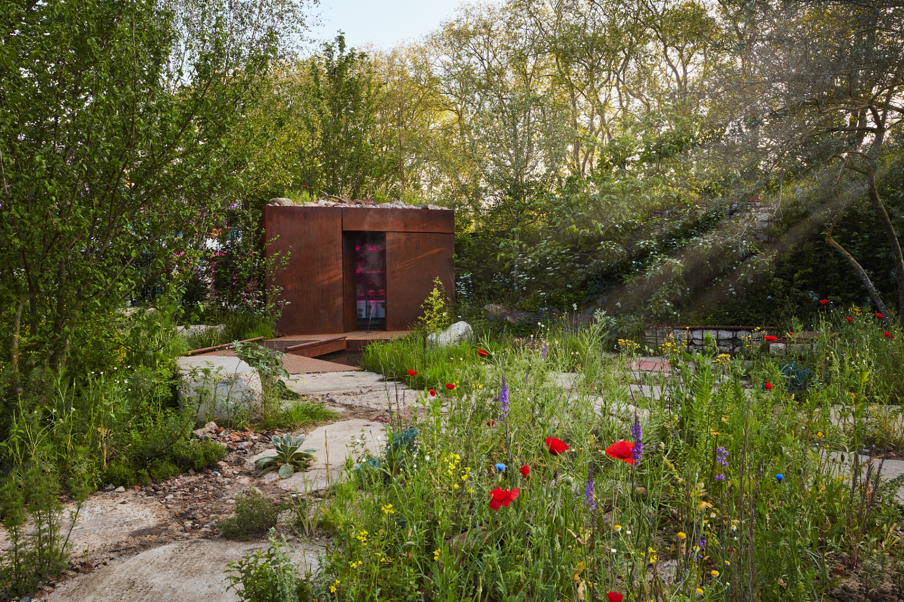 The Balance Garden in morning light — corten shelter set among poppies, cornflowers and wild grasses