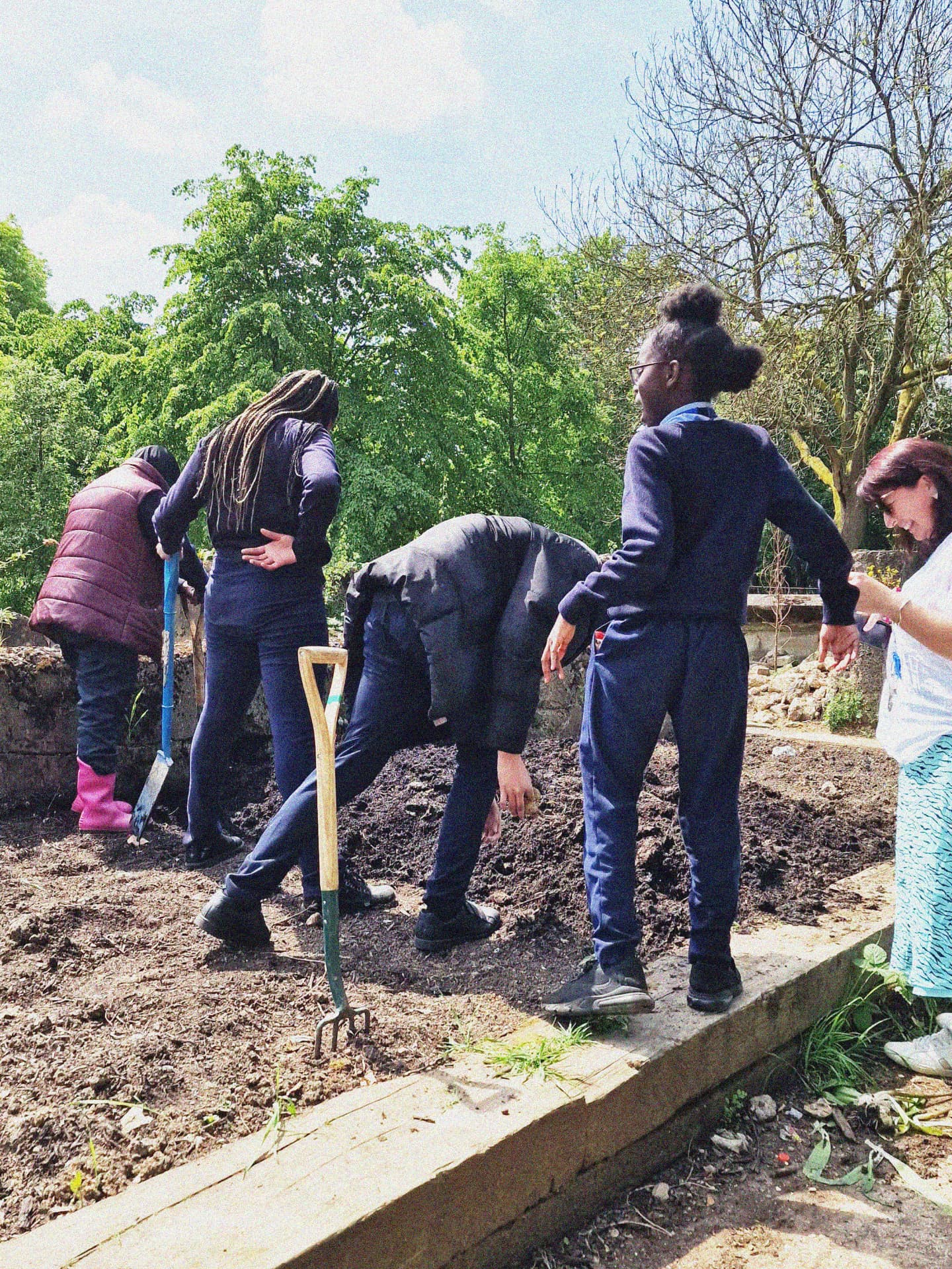 The Allotment