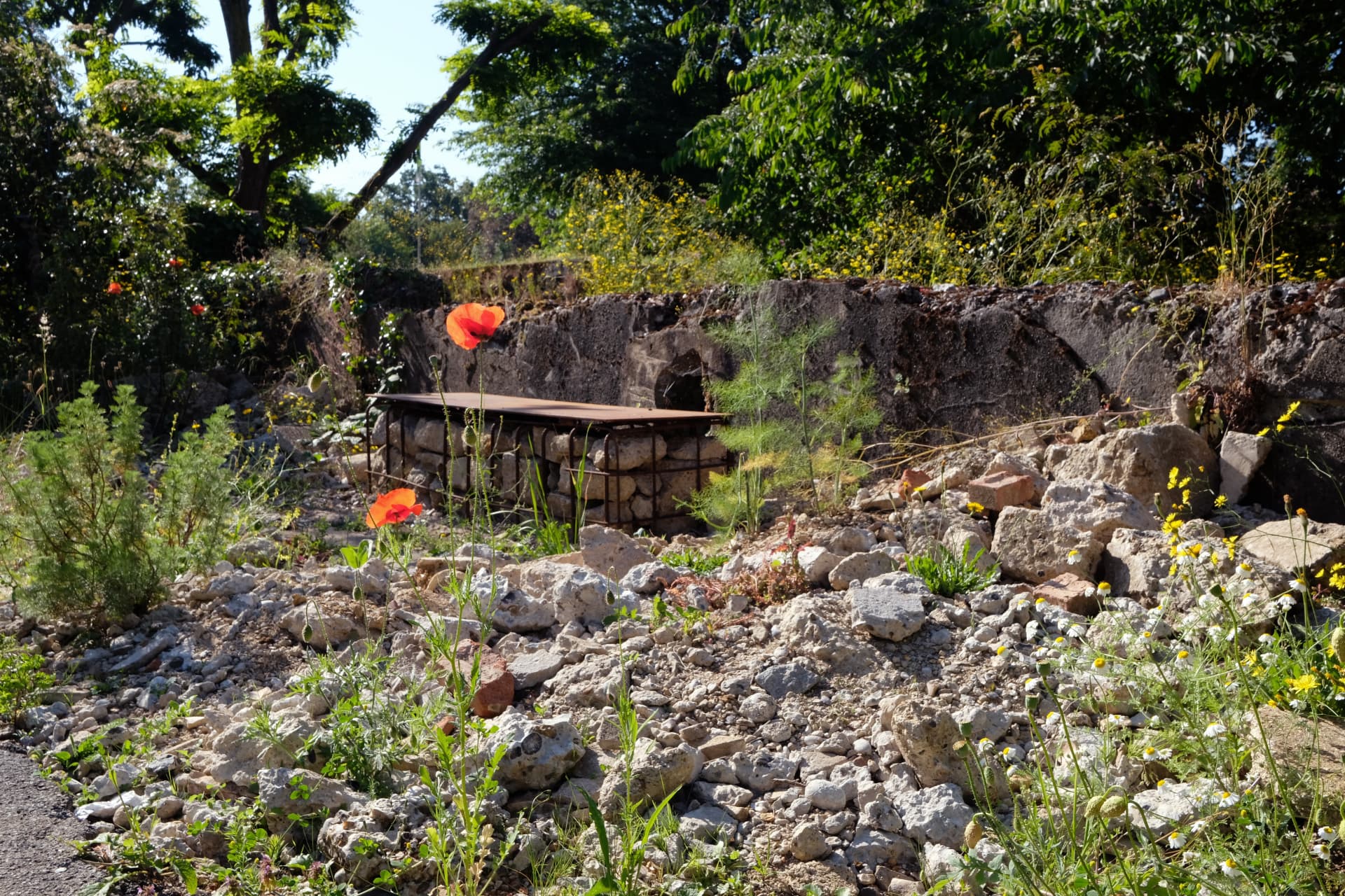 Gabion bench set among crushed concrete rubble and wild flowers