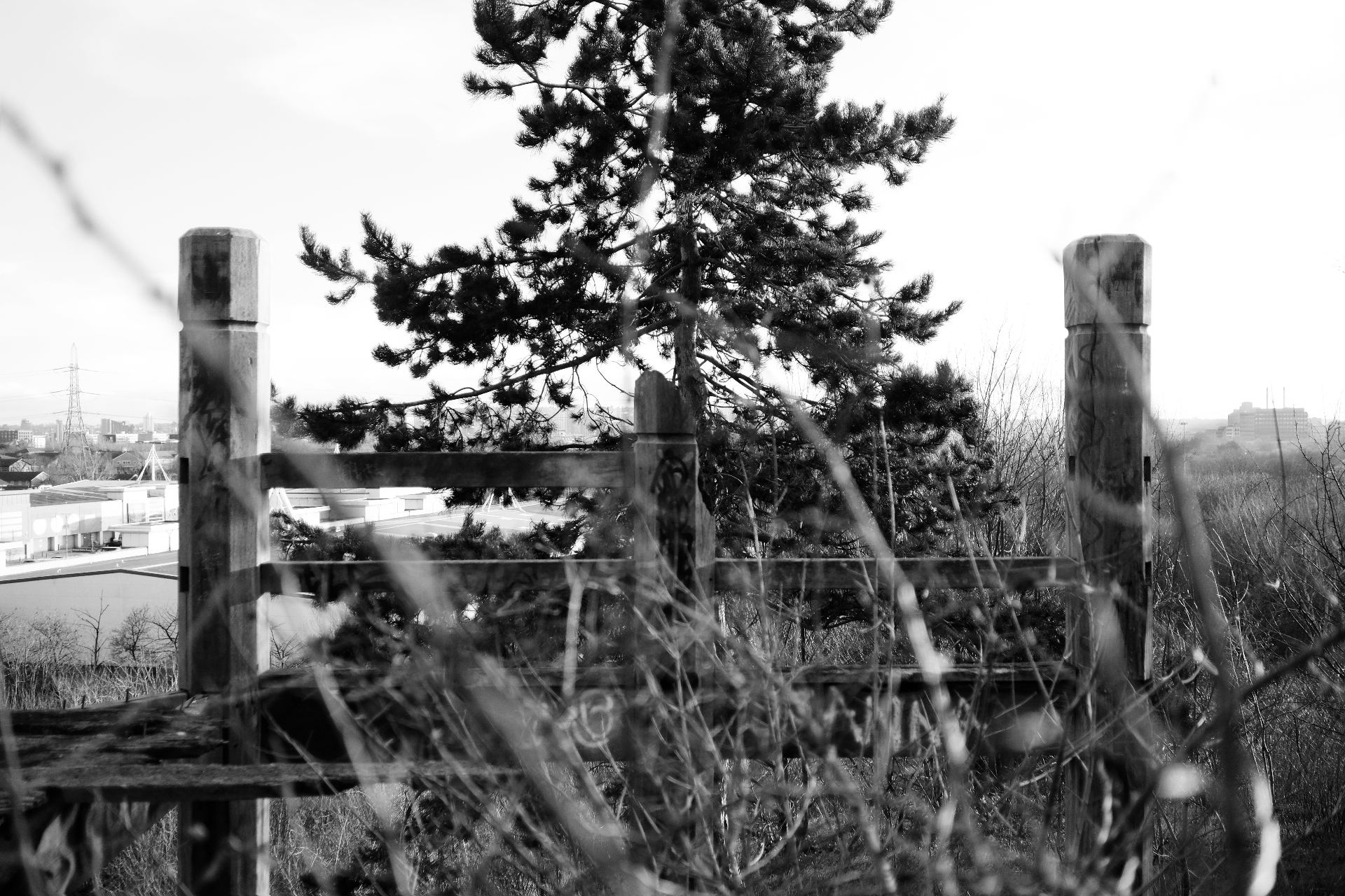 A weathered timber gate on the perimeter of the site, with a pine tree behind it and industrial units below.