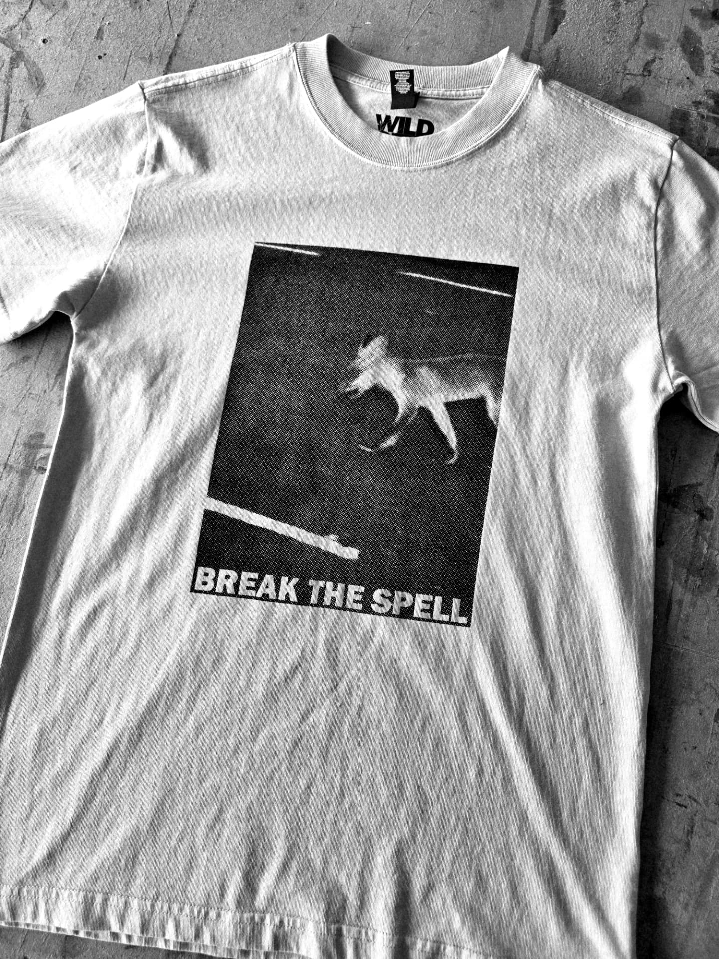 Front of the Break the Spell t-shirt — a night-vision fox and the words BREAK THE SPELL.