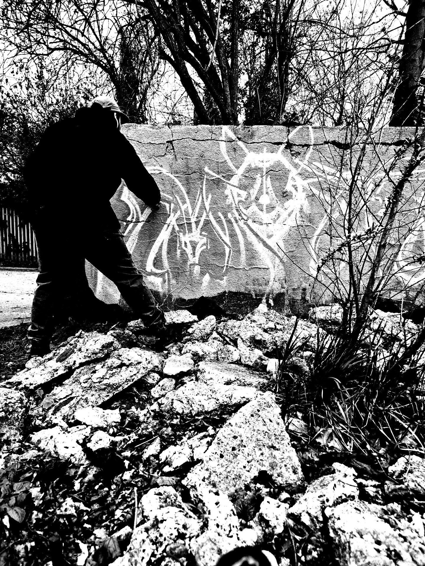 A silhouetted figure works on a stencilled tiger mural among winter branches.
