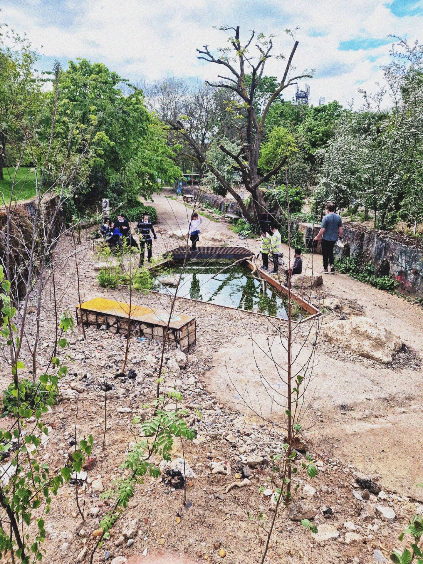 The Pond
