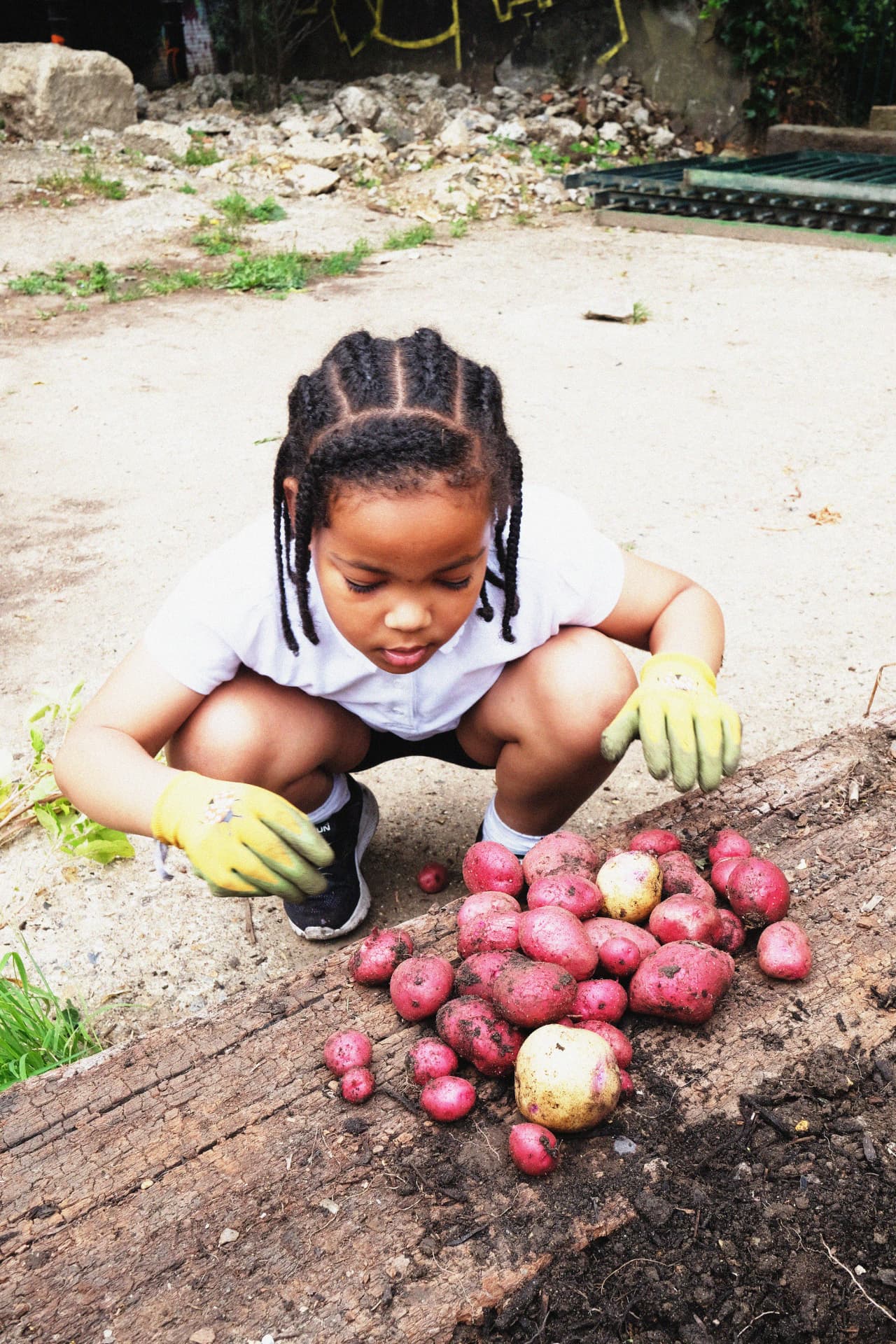 The Allotment